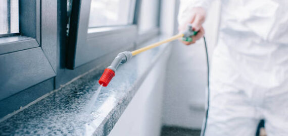 disinfezione disinfezione